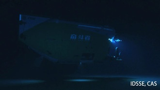 На глубине 10 км в Марианской впадине обнаружены самые глубоководные сообщества животных