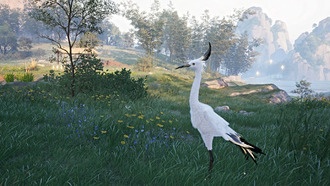 Где найти перья веера в Infinity Nikki и как их использовать