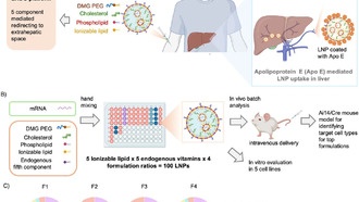 Учёные разработали наночастицы для доставки мРНК прямо в поджелудочную железу
