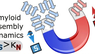 Магнитные поверхности влияют на рост белков, связанных с болезнью Альцгеймера