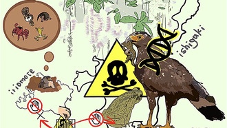 Японские хохлатые змееяды обладают генетической устойчивостью к токсинам тростниковых жаб