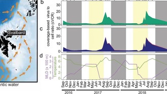 Вирусы в Арктике и Антарктике демонстрируют удивительное сходство