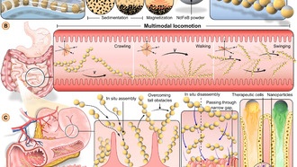 Микророботы для точной доставки лекарств: прорыв в медицине