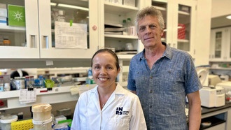 Учёные раскрыли механизм выживания паразита, вызывающего лейшманиоз