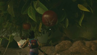 Где найти бруснику в Grounded 2