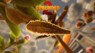 Где найти пучки молочая в Grounded 2