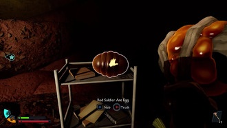 Где найти яйца красных солдатских муравьев в Grounded 2