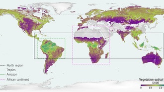 Спутниковые данные за 15 лет показали динамику накопления углерода в лесах мира