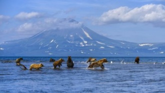 Вулкан Ключевской на Камчатке выбросил пепел на высоту 9 километров