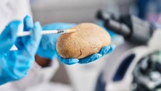 Учёные раскрыли 9-миллионную тайну происхождения картофеля