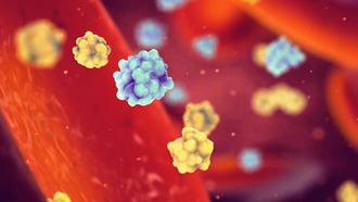 Сахарная молекула может остановить диабет 1 типа, обманув иммунную систему