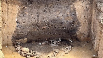 В Германии обнаружены 5000-летние ритуальные ямы культуры Зальцмюнде