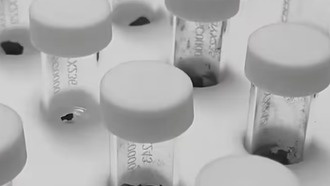 Китай одобрил заявки на изучение лунных образцов для 32 научных групп