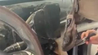 Женщина едва не потеряла электромобиль из-за взорвавшегося повербанка