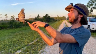 Редкие дятлы процветают на военном полигоне: как бомбардировочный полигон стал убежищем для дикой природы