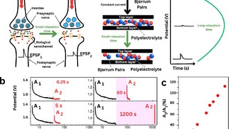 Программируемые 2D-наноканалы имитируют память человеческого мозга