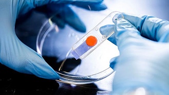 Учёные создали цветные сенсоры для мониторинга здоровья растений