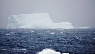 Новое исследование раскрывает секрет диатомовых водорослей в Южном океане
