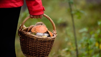 Поисковым отрядам в России усложнили работу сбои GPS и ограничения связи