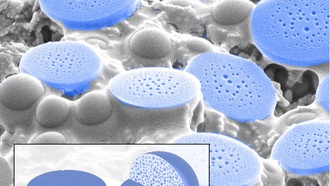 Простой пептид может имитировать природный механизм защиты белков