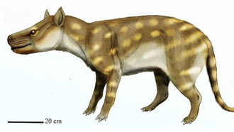 Древний хищник изменил рацион из-за климатических изменений — учёные нашли параллели с современностью