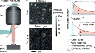 Новый метод сверхбыстрой визуализации позволяет анализировать тысячи молекул одновременно