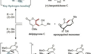 Учёные синтезировали природное вещество для борьбы с нейровоспалением