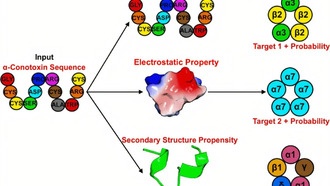 ИИ помог учёным понять смертельные токсины морских улиток