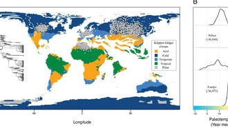 Учёные выяснили, что первые приматы появились в холодном климате, а не в тропиках