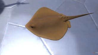 Как получить всех питомцев из обновления 7.3 в Final Fantasy XIV