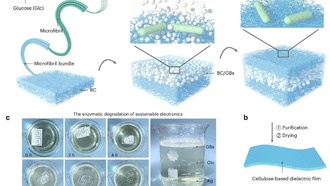 Китайские учёные создали биоразлагаемый материал для экологичной электроники