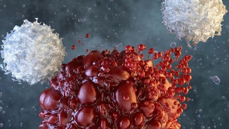 Голодание опухолей делает лечение рака эффективнее