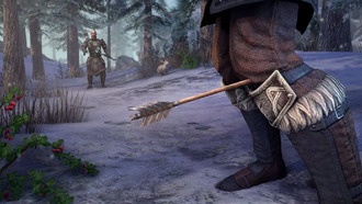 Обнаружены материалы отменённой MMO Blackbird от создателей The Elder Scrolls Online