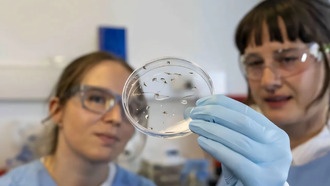 Новая вакцина от малярии блокирует размножение паразита в комарах