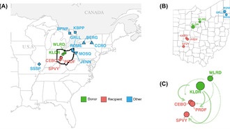 Генетическое спасение вымирающих видов может привести к передаче вредных мутаций