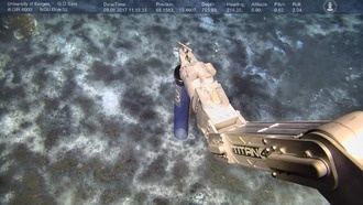 Древние подземные воды океанического дна раскрывают связь с ледниками и изменением уровня моря