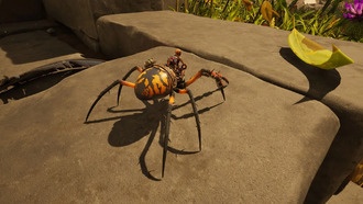 Как получить паукообразный багги Orb Weaver в Grounded 2