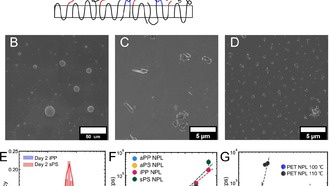 Учёные выяснили, как образуются нанопластики, чтобы снизить их вред для здоровья и экологии