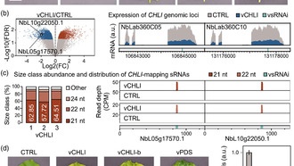 Ультракороткие РНК-вставки открывают новые возможности для генетической модификации растений