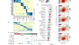 Кишечник человека эволюционирует быстрее, чем у других млекопитающих