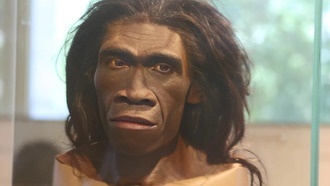 300 000-летние зубы в Китае указывают на скрещивание древних людей с Homo erectus