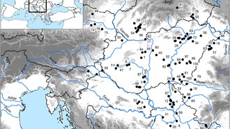 5000 лет равенства: исследование опровергает теорию о неизбежном росте неравенства после появления земледелия