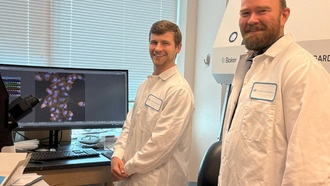 Учёные раскрыли механизм защиты клеток от вирусных атак