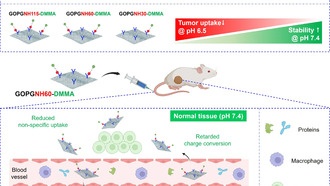 Новый наноматериал на основе графена улучшает точность доставки лекарств от рака