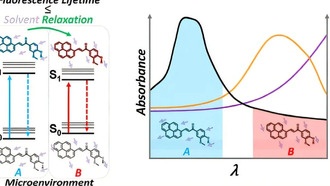 Учёные открыли новый принцип фотохимии: микроокружение влияет на реакции сильнее, чем поглощение света