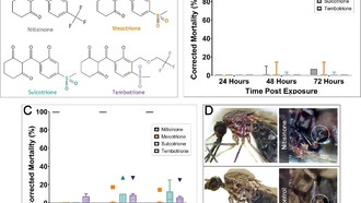 Препарат от редкого заболевания делает кровь человека смертельной для комаров