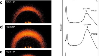 ИИ ускоряет разработку полимеров с высокой теплопроводностью