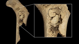В Испании обнаружены следы каннибализма возрастом 5700 лет