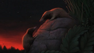 В Гренландии обнаружен древнейший ископаемый докодонт, сокративший эволюционный разрыв