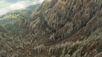 Исследование: риск оползней не всегда возрастает после лесных пожаров